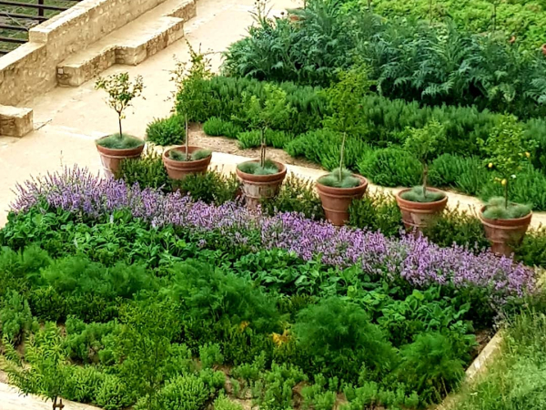 Conférences de l'Institut Européen des Jardins & Paysages