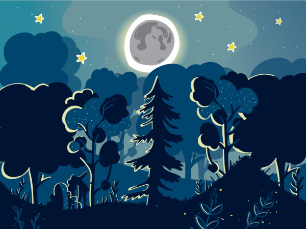 Nuit au jardin